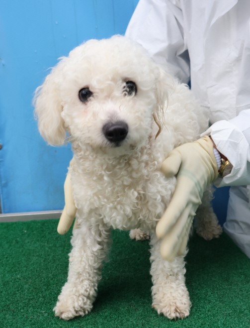 제주 동물보호센터_450650202500471